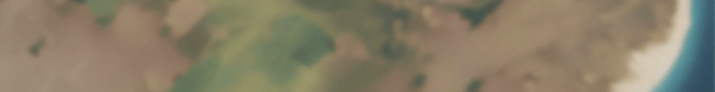 查看太空的“ 14五年计划” ｜新的农村振兴