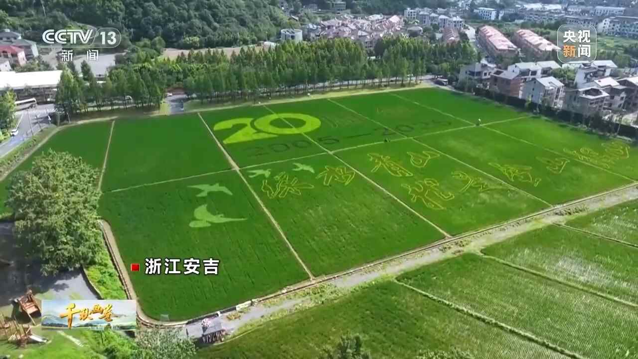 颁布“两座山”概念的20周年：绿色水和绿山以及