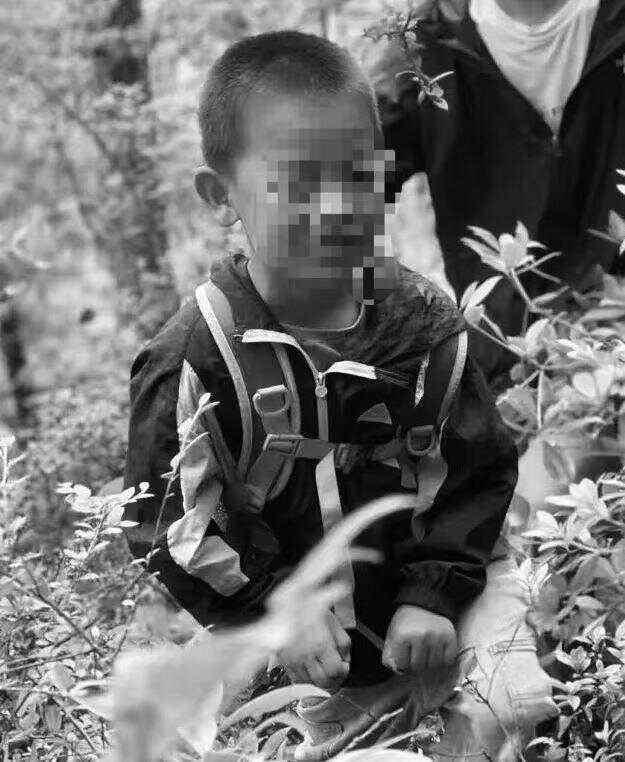 达利（Dali）报告说“失去的8岁男孩被杀”，他的