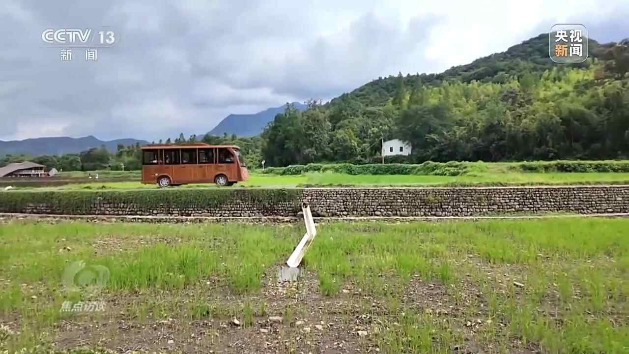 聚焦面试丨矿山转向绿山，并查看Yucun的蝴蝶蝴蝶