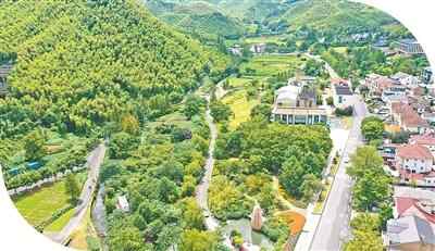 在尤康（Yucun）二十年的潘兄弟