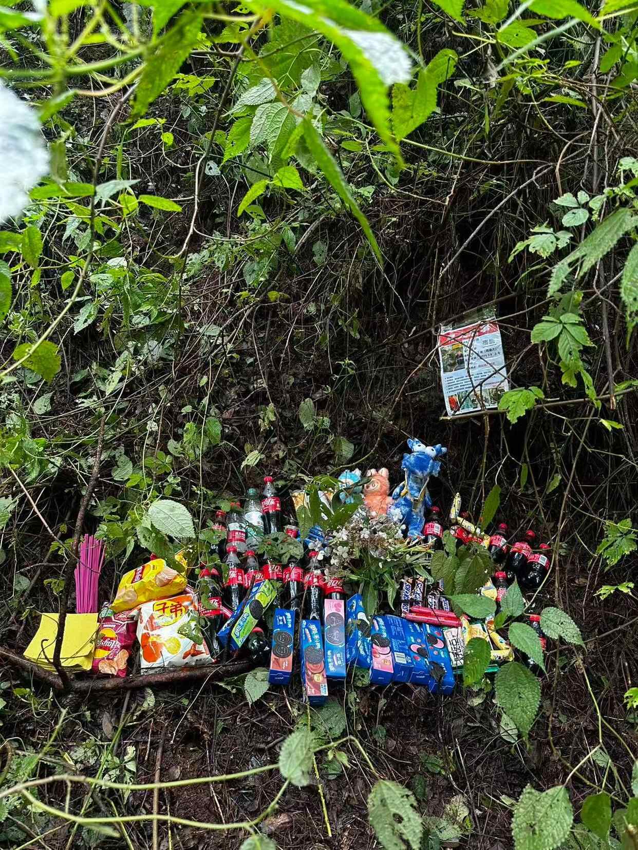 翻译错误：Unexpected character encountered while parsing