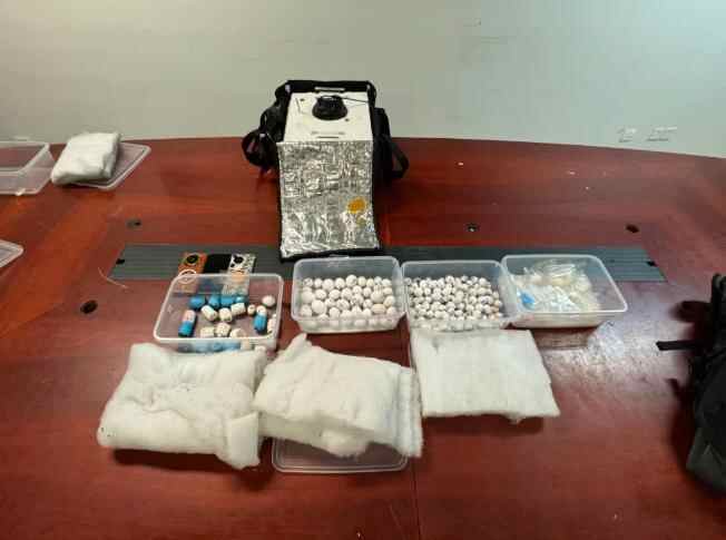 来源的乘客赶到下水道200多个鹦鹉鸡蛋，并在营