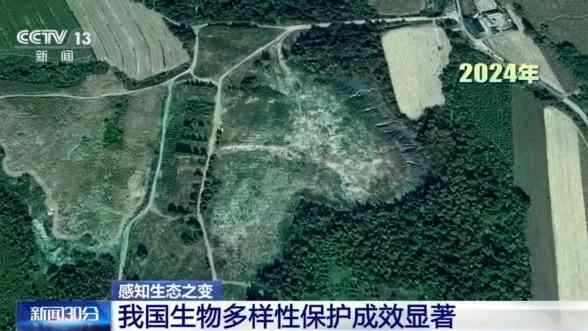 感受生态变化|从67,000到148,000种类型的人见证了中