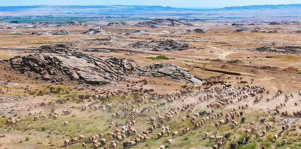 新疆阿勒泰：牧民开启秋季大转场