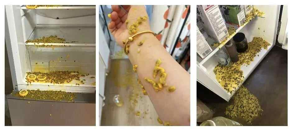 注意！可能是“爆炸”，将这四件事放入冰箱中