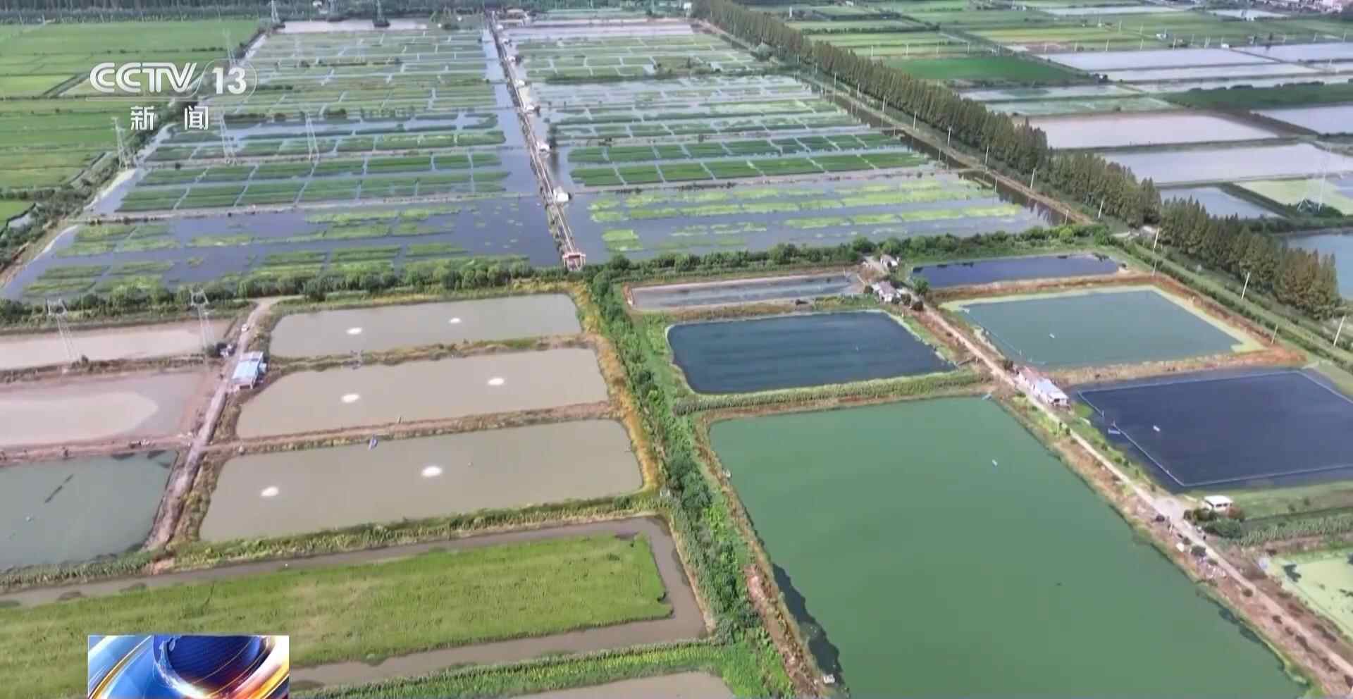 充满活力的中国研究巡回