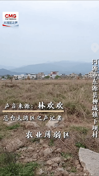 站在大湾地区的趋势上，丨“智能”复数乡村！