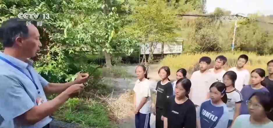 老师节快乐！感谢您与每位老师的努力。