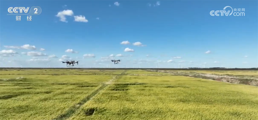 新技术，新型号，新类型...秋天的田园乡村充满