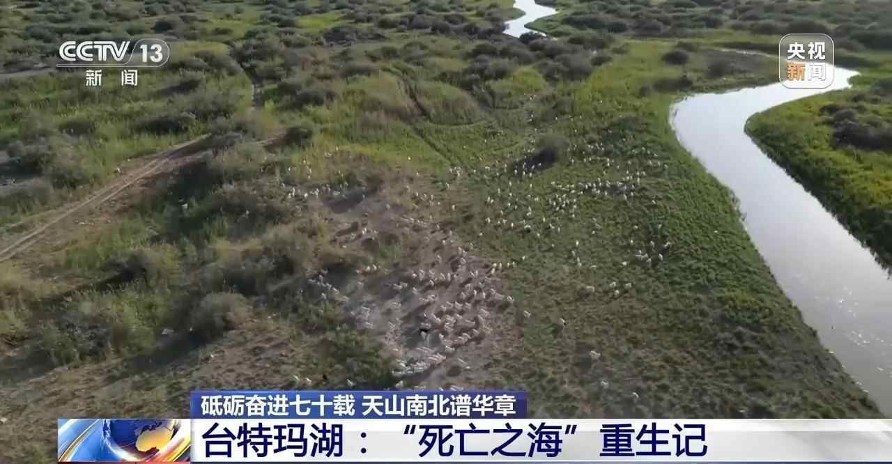 蒂亚诺山（Tiano Mountains）的努力和发展七十年是