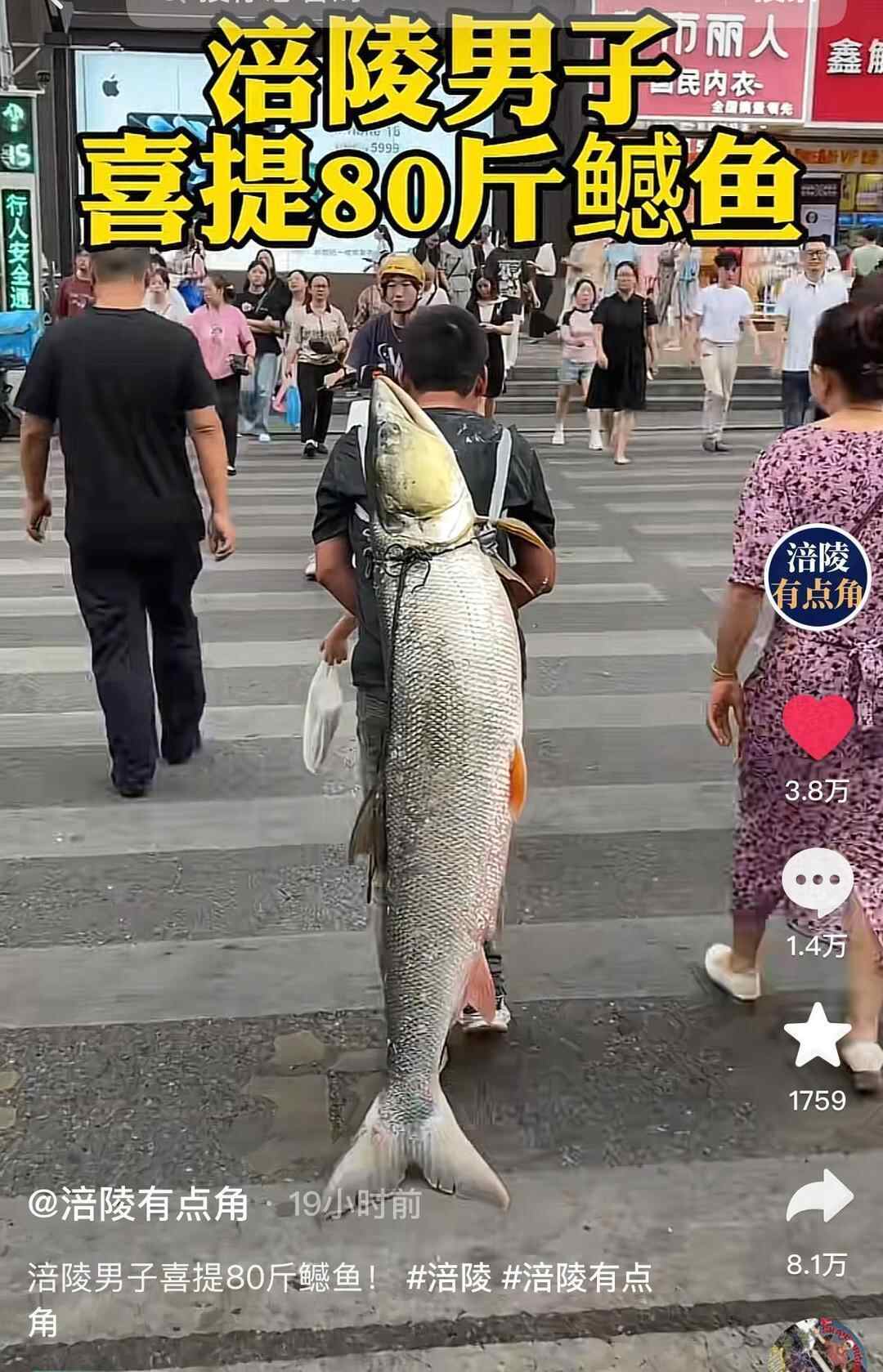 这是渔夫的亮点！该男子抓到79公斤鱼后，他以“