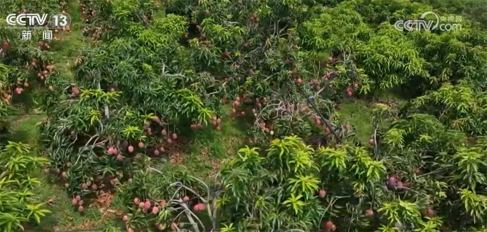 Express交付开发指数在八月份增加了4.4％，并采取