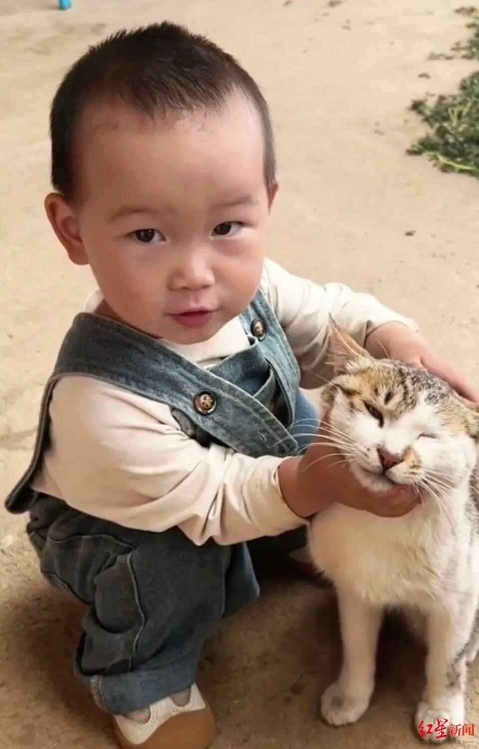 这个2岁的女孩已经失去了10天以上！祖父：超过