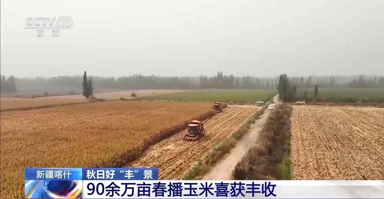 秋天是一个“广泛的”场景，技术的加强 +政策支