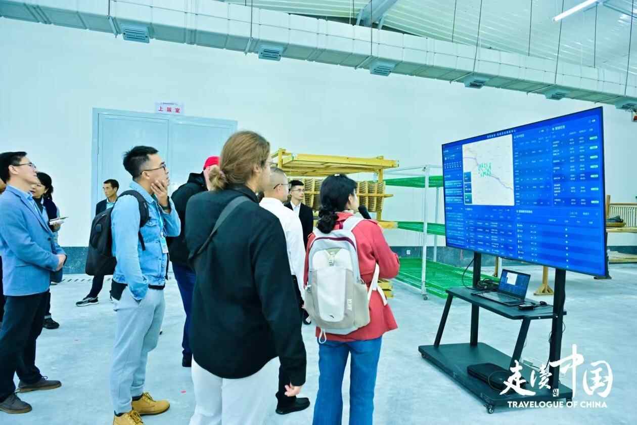 在希坎奇河外国记者附近养蚕的故事，哀悼中国