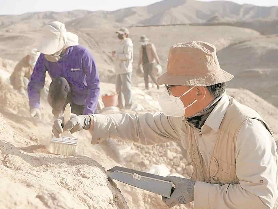 双向奔赴，让粤新文化遗产“对话”助力活化利用