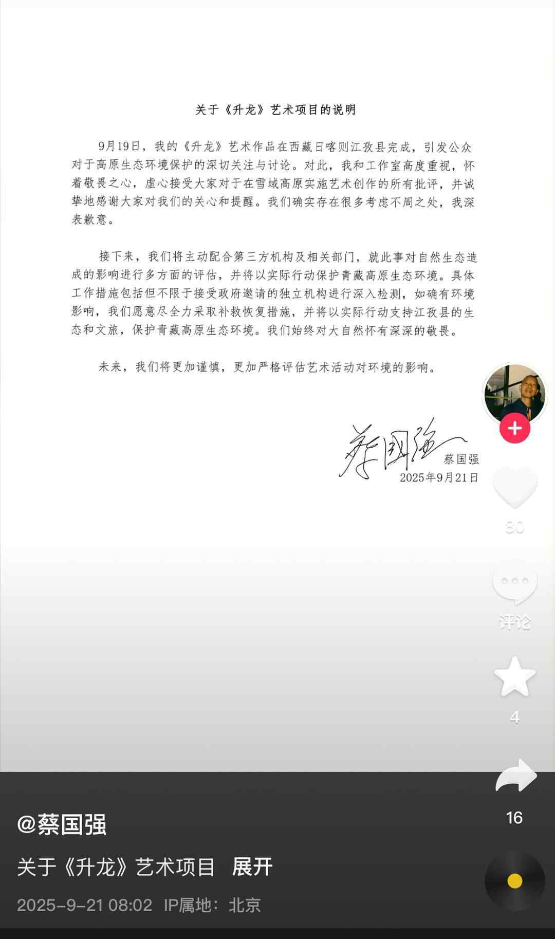 烟花的表演吸引了蔡瓜考古鸟的注意，释放了鹅