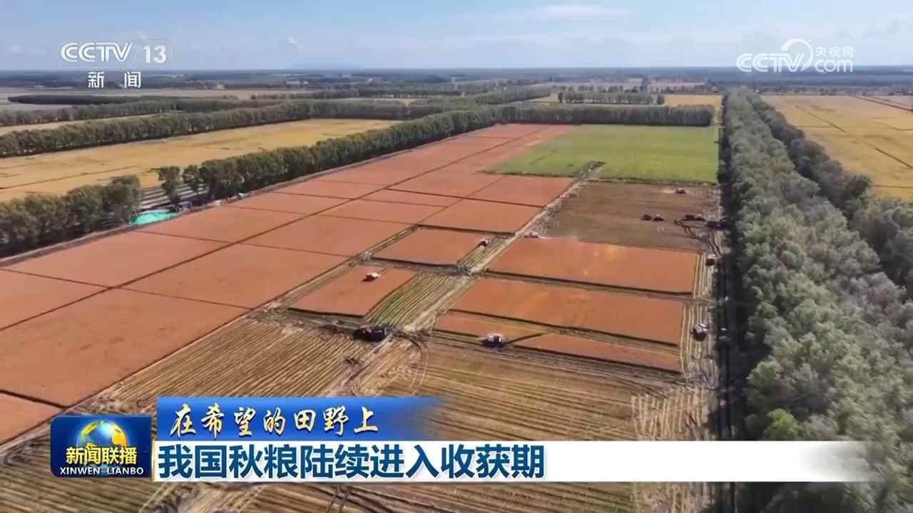 秋季谷物产量，出国果实，高航空航空：多维数