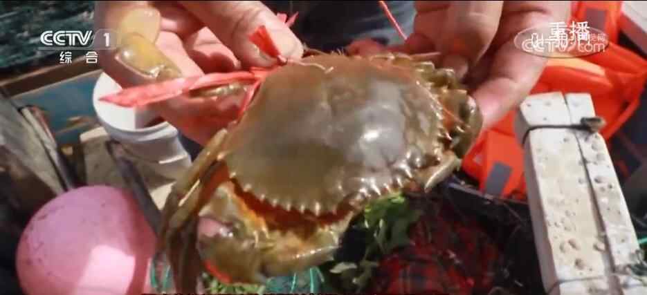 问题和热消费！双重节日在那个文化和旅游市场