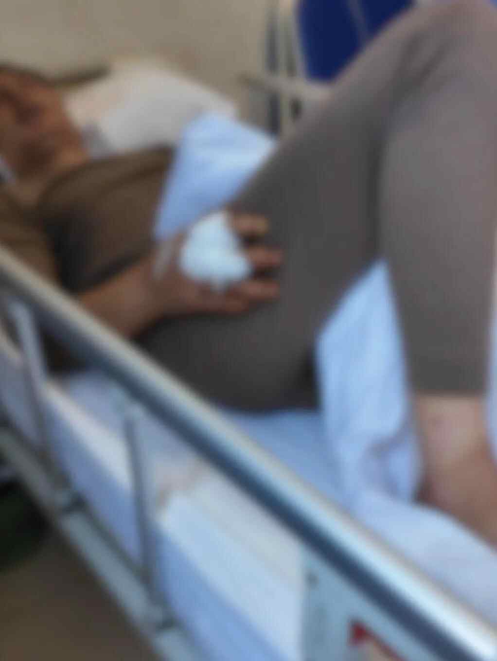 收集山细菌时，有人遭到黑熊的袭击，他的小牛