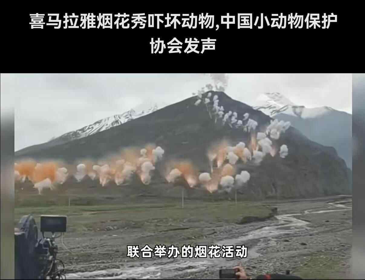 外部品牌的两次大型营销碰撞｜鱼眼