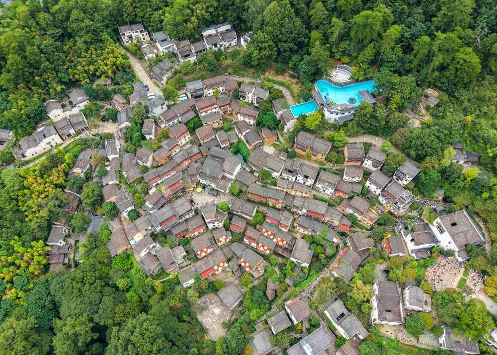 中国农民收获节｜一年中展示了一个很棒的“出