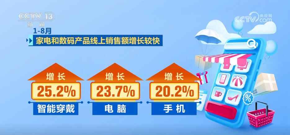 我国家的电子商务在头8个月内保持健康和快速的