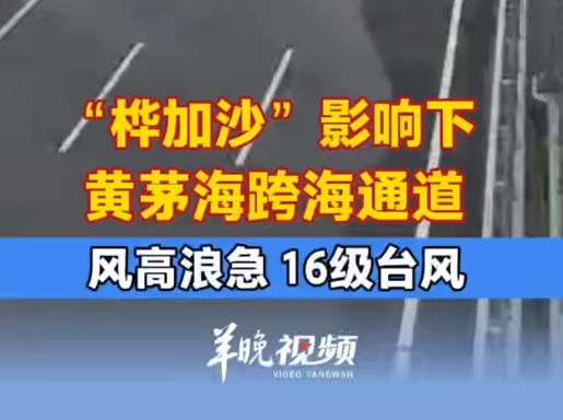 受台风“桦加沙” 影响，黄茅海跨海通道最大风速达16级