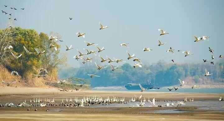 青年的一章｜观看一条河的清澈海水，并举办了