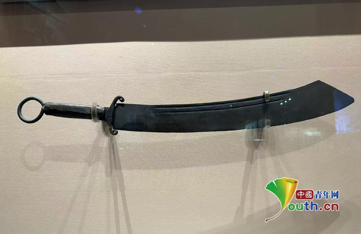 中国的推理丨敌人在山东南部铁路线上的“突然