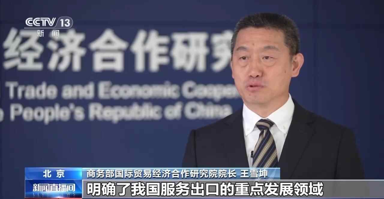 13个服务出口政策可以攻击哪些新的动力？解释专