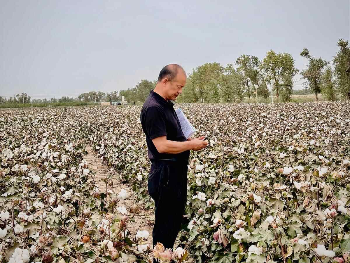 中国梦·伟大的乡村工匠分会|实践文明：“成长