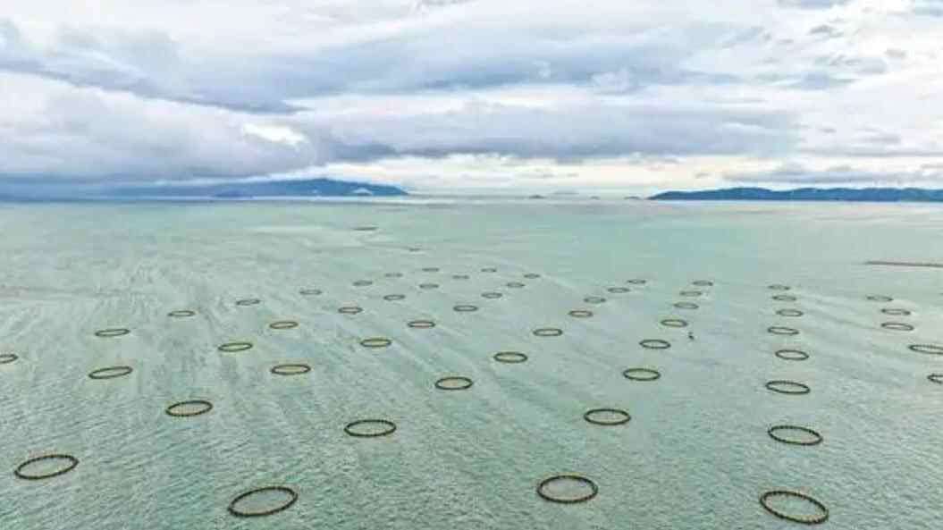 潮州饶平:向海图强再造空间 科技牧渔智造新篇 