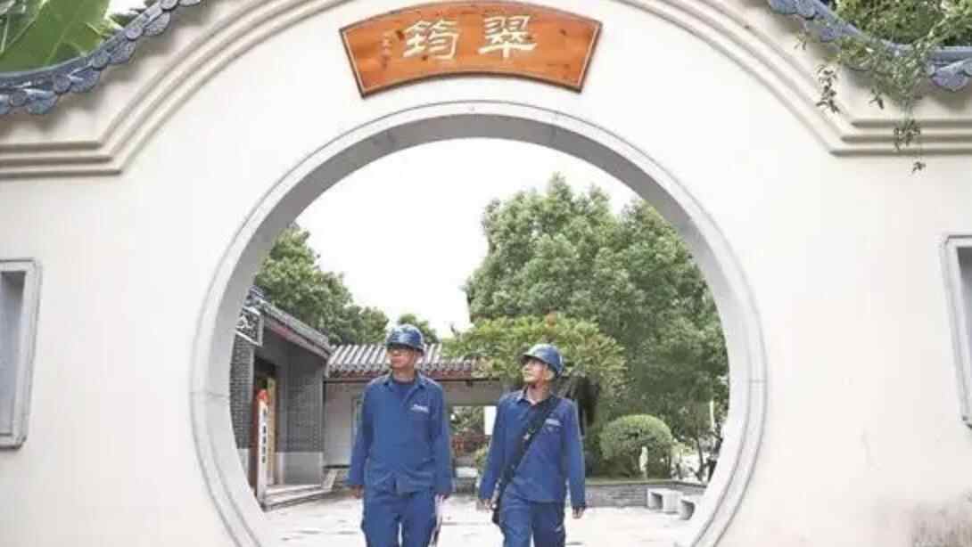 东莞供电局：以电为笔绘就“百千万工程”新图景 以电力先行赋能城市高质量发展 