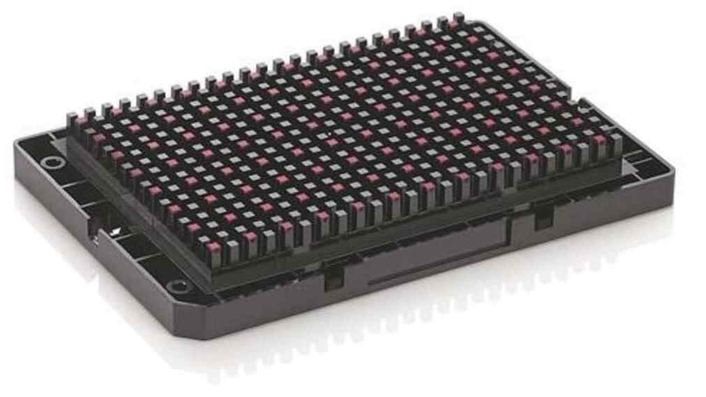 温氏书写高质量发展生动答卷 