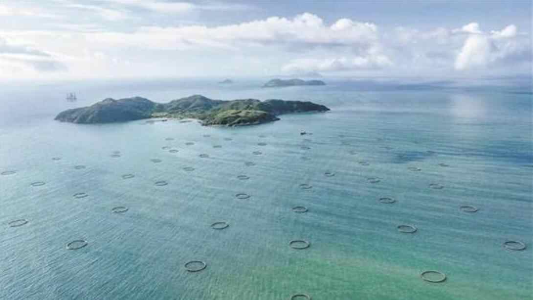 阳江加快打造经济崛起新高地 