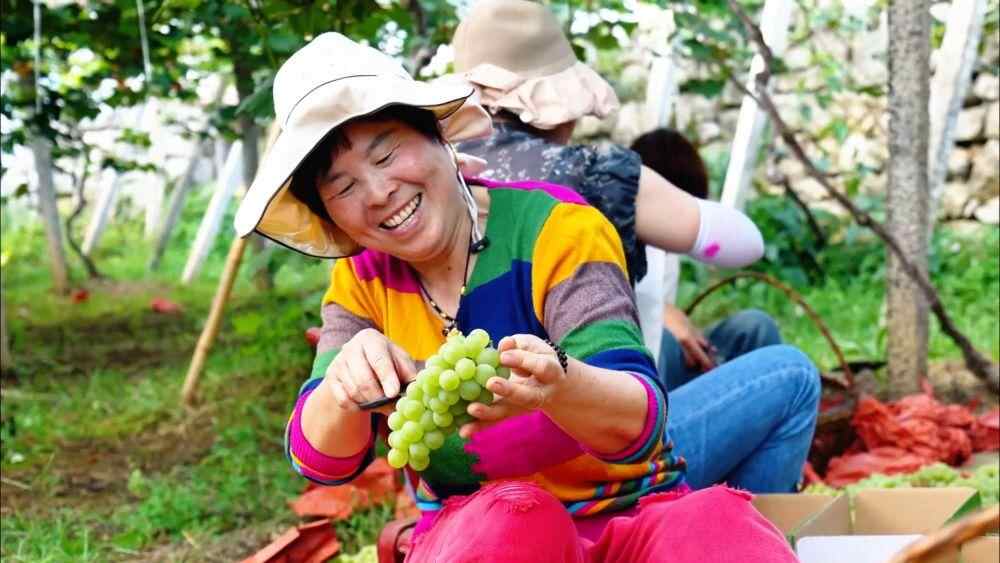 新华社的观点｜黄金秋季收获照片：特征丰富农