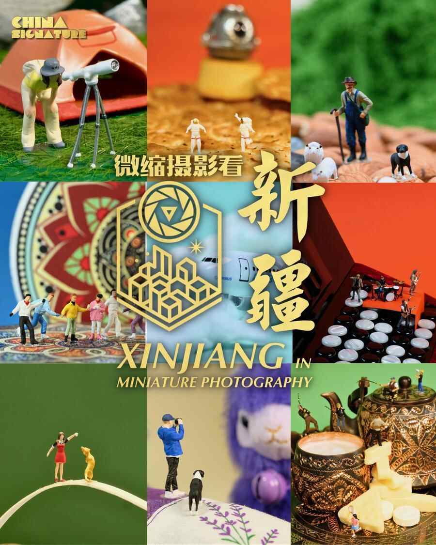 中国的烙印|用微型摄影观看新疆：乐器章节