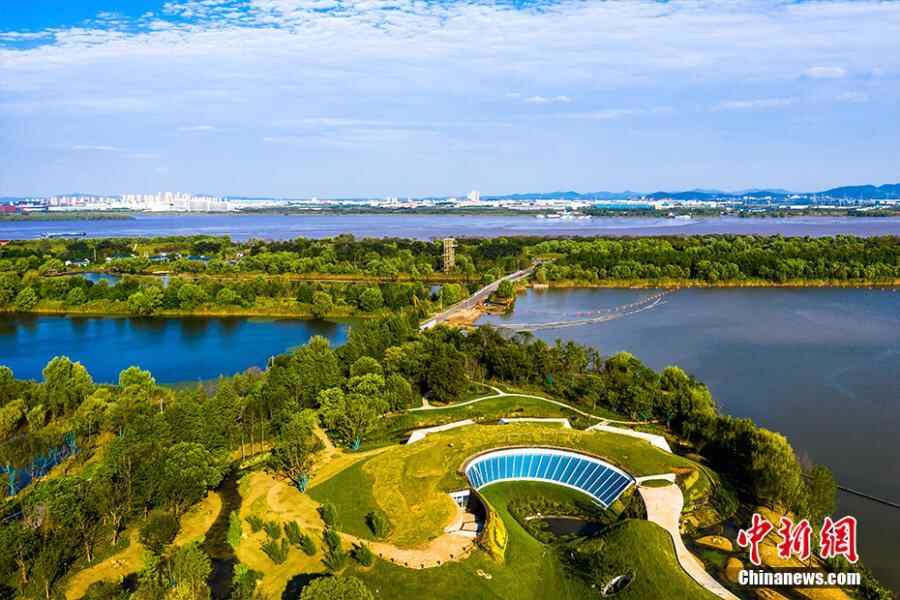 青年章|海豚河，红冠起重机，东方白色鹳...为什