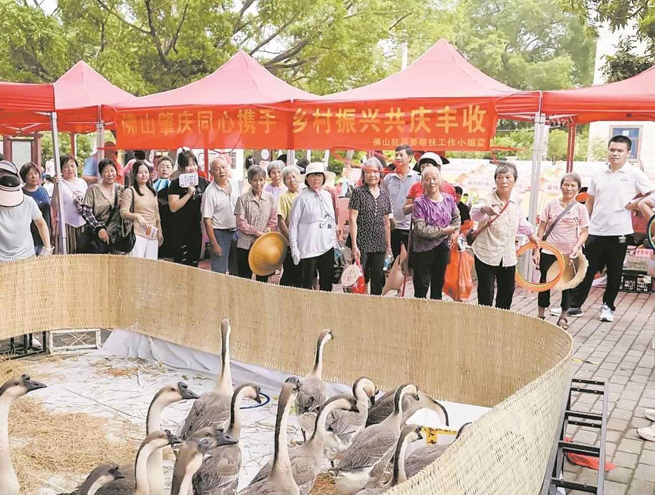 广东：今年早稻单产创历史新高