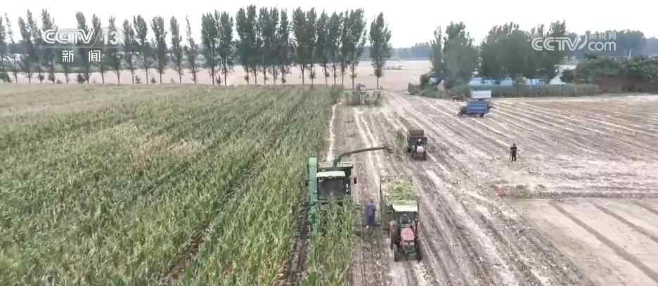 希望场是“蓝色”和吸引人的吸引力，“农村振