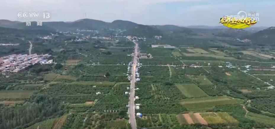 瓜和水果的香气漂浮，机舱里到处都是鱼和螃蟹