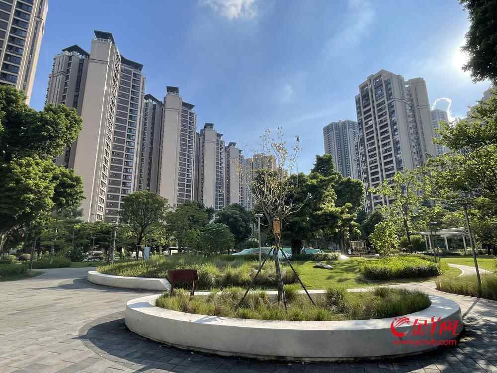 有哪些好用的社区 53710388_0f9dfda3-d133-42f5-88b5-a5edc5cd5b32_batchwm1156428.jpeg