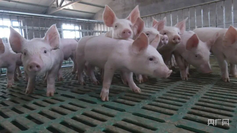 新的质量和新的创造是军团丨画了一幅新的“三