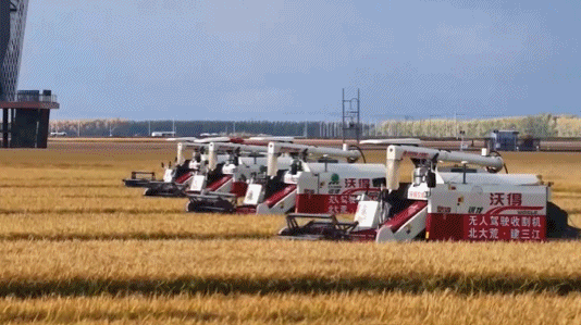 “双重节日”桌的新手。沉浸在一个伟大国家的