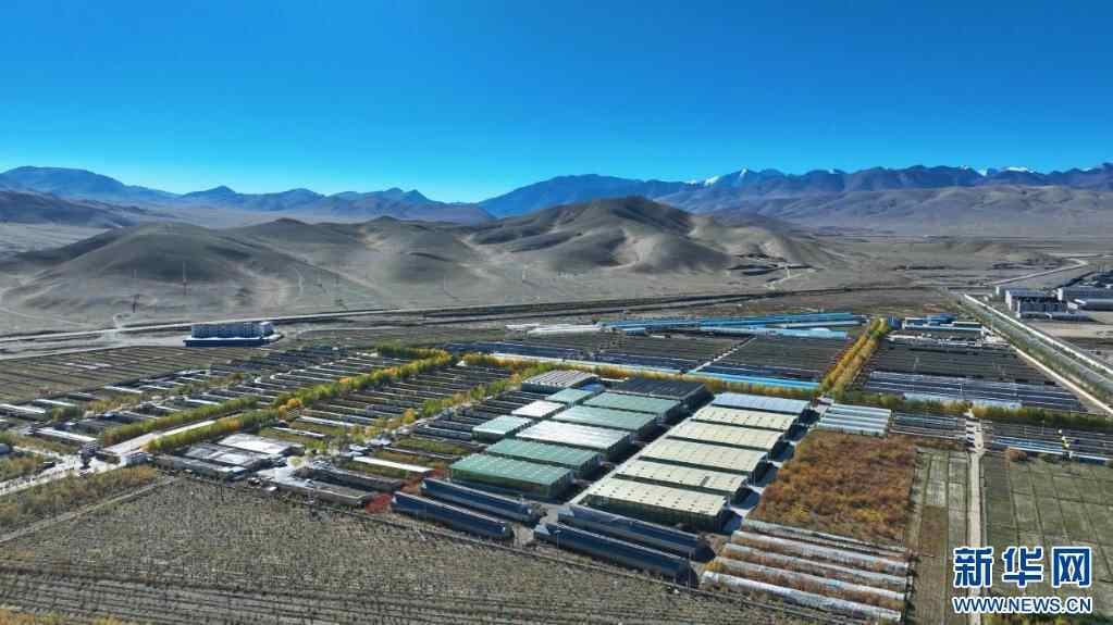 开花石榴花，种子在心脏中|云中的蔬菜篮子的幸