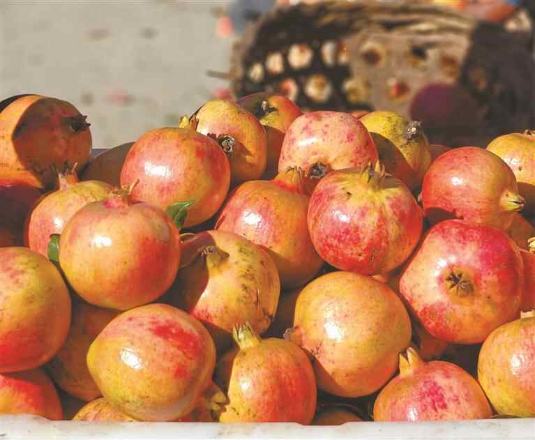 红色石榴照亮了位于林吉市Chayu县Changxi村庄的高