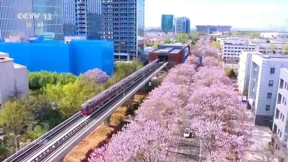 聚焦面试｜美丽的中国在您和我旁边。 “公园