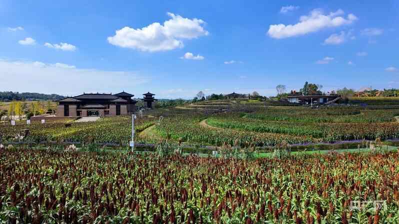 对消费的新观察｜田园风格的“混合和兼容”风